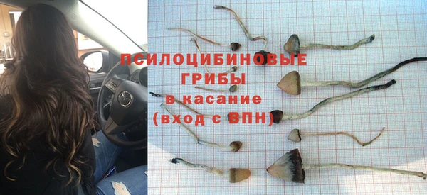 метадон Аркадак
